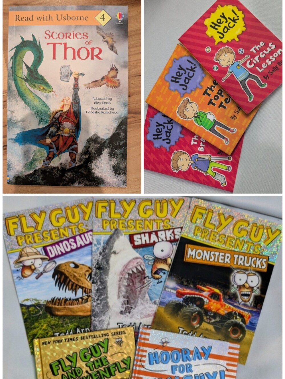 Level 4 Step Into Chapter Books Bundle
